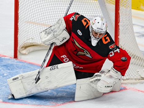 29.01.2025. «Авангард» - «Салават Юлаев» 2:4