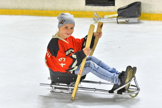 Турнир по следж-хоккею в Омске, день 2