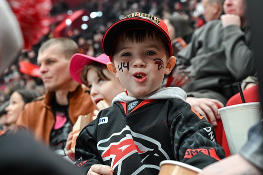 «Авангард» - «Амур» 3:4. Вокруг матча