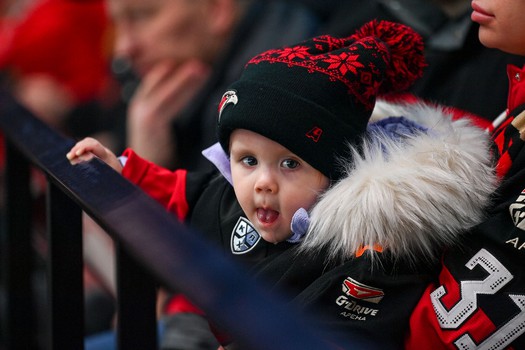 «Авангард» - «Лада» 4:3 Б. Вокруг матча