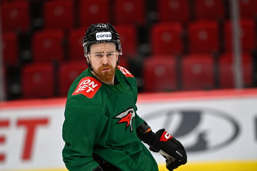 Раскатка «Авангарда» перед матчем с «Автомобилистом»