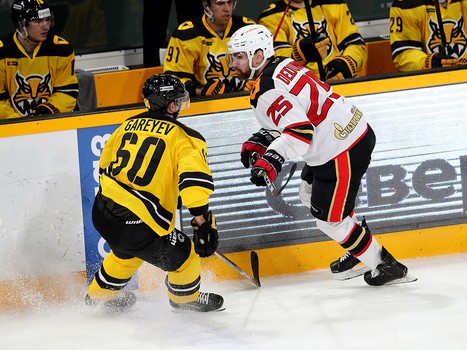 06.12.2020. «Северсталь» - «Авангард» 2:1 Б