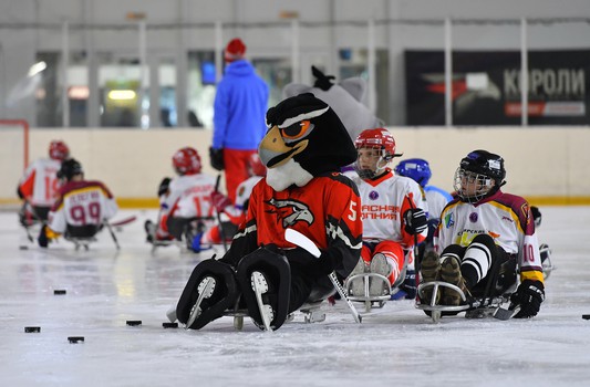 Турнир по следж-хоккею в Омске, день 2