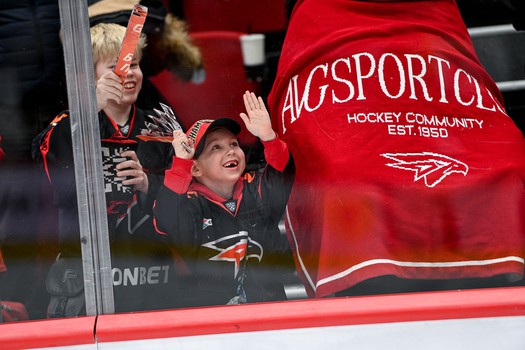 15.01.2026. «Авангард» - ЦСКА 2:1