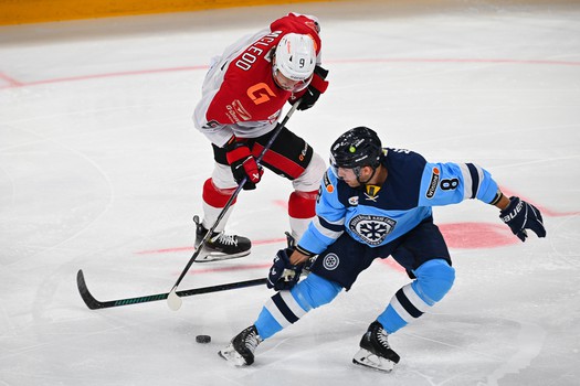 17.12.2024. «Сибирь» - «Авангард» 3:5