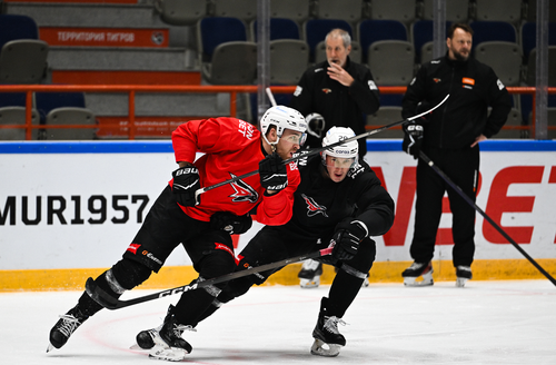 Тренировка «Авангарда» перед матчем в Хабаровске