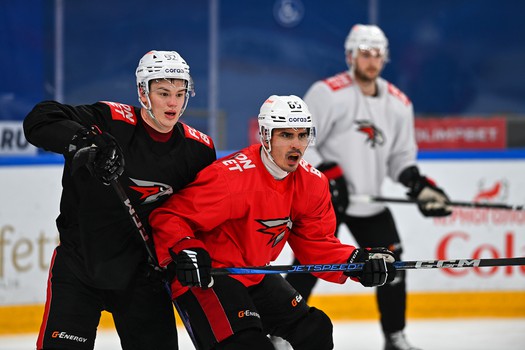 Раскатка «Авангарда» перед матчем в Тольятти