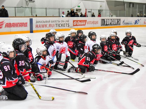 Новогодний праздник в хоккейной школе "Авангард"