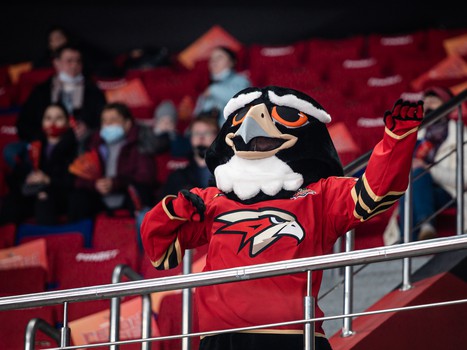 «Авангард» - «Куньлунь Ред Стар» 5:0. Вокруг матча