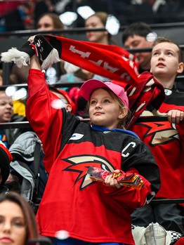 «Авангард» - ХК «Сочи» 8:3. Вокруг матча