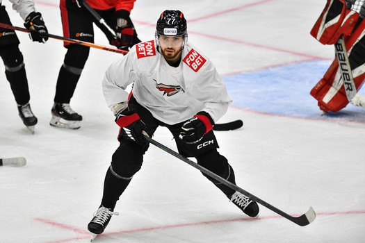 Двусторонний матч «Авангарда»