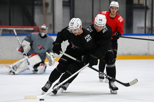 Тренировка «Авангарда» в Хоккейной Академии