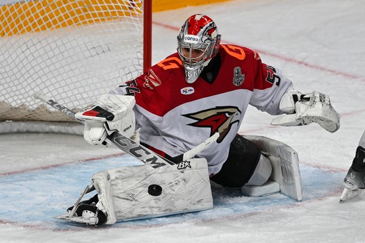 26.03.2025. «Металлург» - «Авангард» 1:4