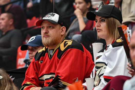 «Авангард» - «Салават Юлаев» 3:2 ОТ. Вокруг матча