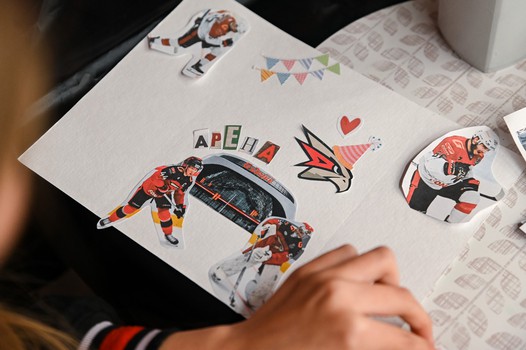 «Авангард» - «Адмирал» 6:1. Вокруг матча