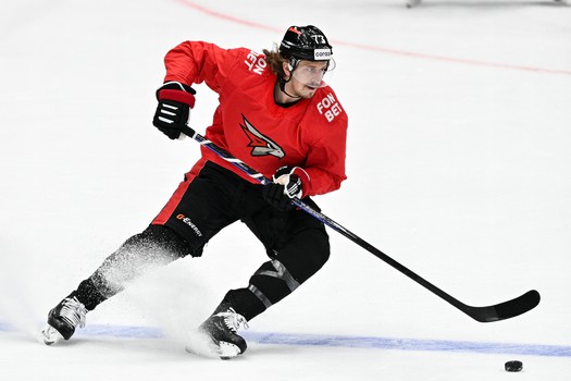 Двусторонка «Авангарда»