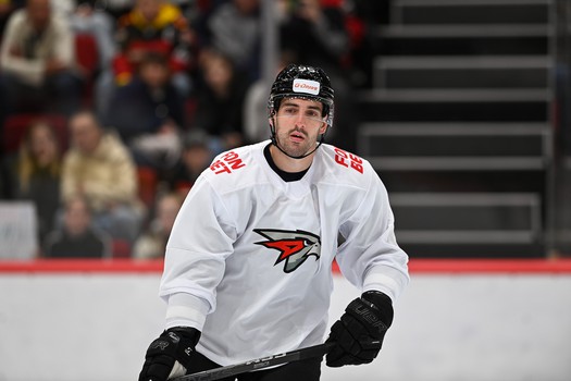 Открытая тренировка «Авангарда»