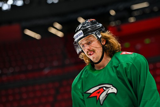 Раскатка «Авангарда» перед матчем с «Адмиралом»