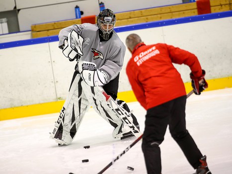 Новички «Авангарда». Александр Судницин