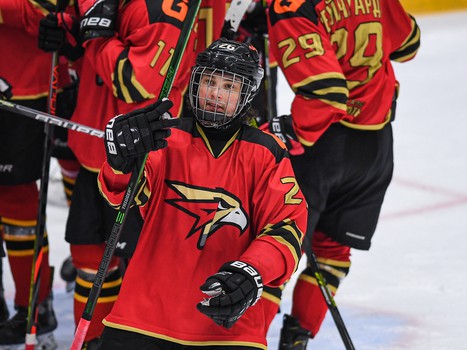 Четвертьфиналы Первенства ЮХЛ в Омске