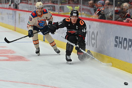 13.03.2026. «Авангард» - «Драконы» 6:1