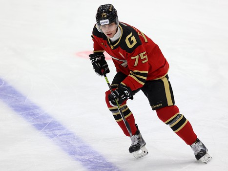 19.11.2021. «Авангард» - «Металлург» Мг 4:2