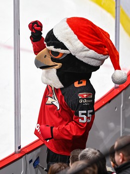 «Авангард» - «Салават Юлаев» 3:2 Б. Вокруг матча