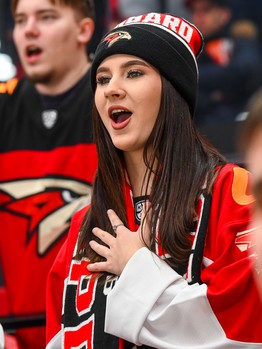 «Авангард» - «Салават Юлаев» 2:4. Вокруг матча