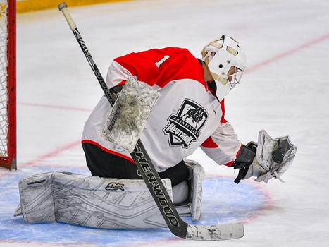 Четвертьфиналы Первенства ЮХЛ в Омске