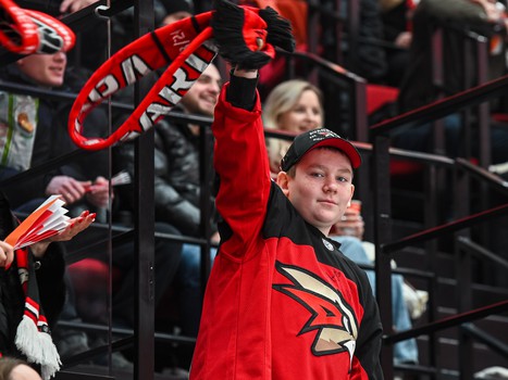 «Авангард» - «Торпедо» 4:3. Вокруг матча