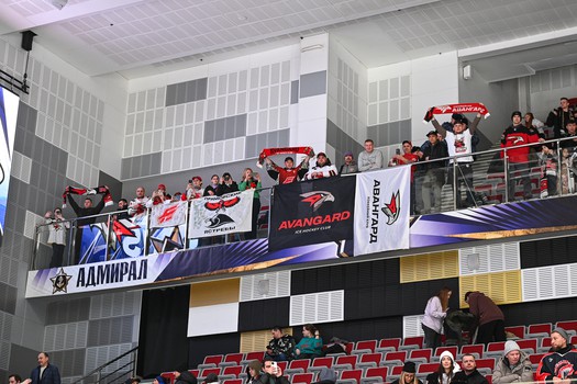 11.02.2025. «Адмирал» - «Авангард» 2:5