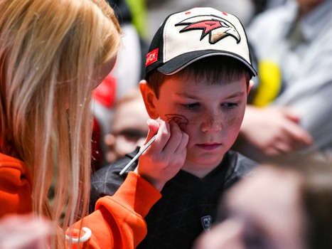 «Авангард» - «Металлург» 4:3. Вокруг матча