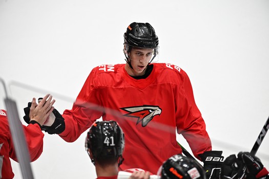 Двусторонка «Авангарда»