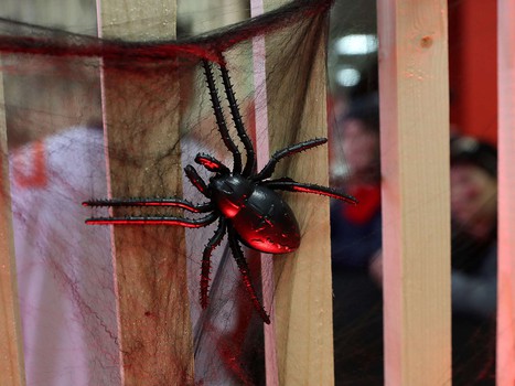 01.11.2019. «Авангард» - «Амур» 3:2