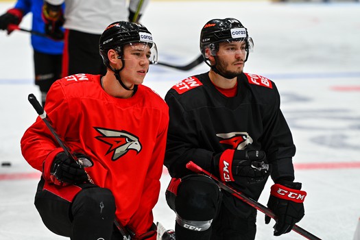 Раскатка «Авангарда» перед матчем с «Амуром»