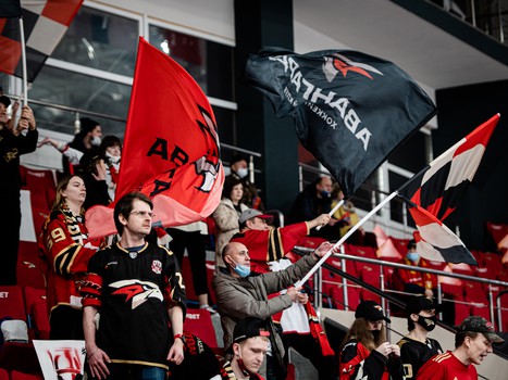 «Авангард» - «Нефтехимик» 6:1. Вокруг матча