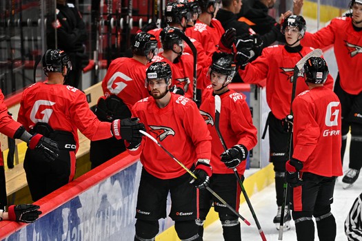 Двусторонка «Авангарда»