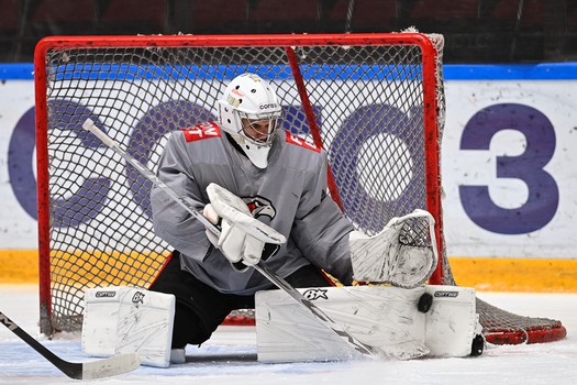 Тренировка «Авангарда» перед матчем во Владивостоке