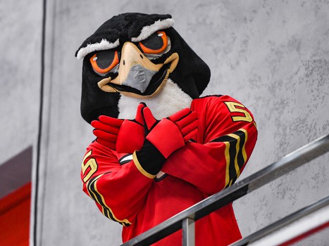 Заключительный день финала Первенства ЮХЛ в Омске