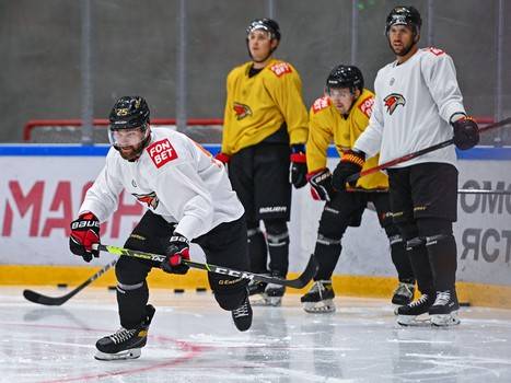 Открытая тренировка «Авангарда»