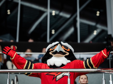 «Авангард» - ЦСКА. Вокруг матча