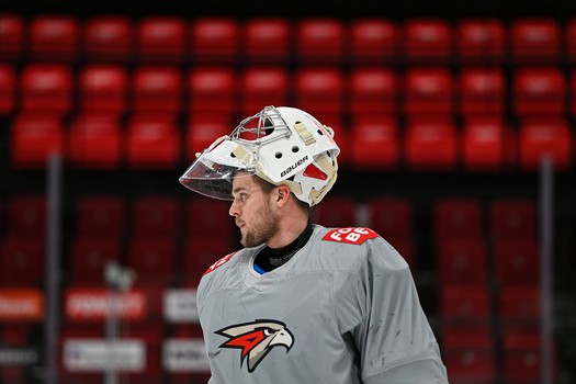 Раскатка «Авангарда» перед матчем с «Автомобилистом»