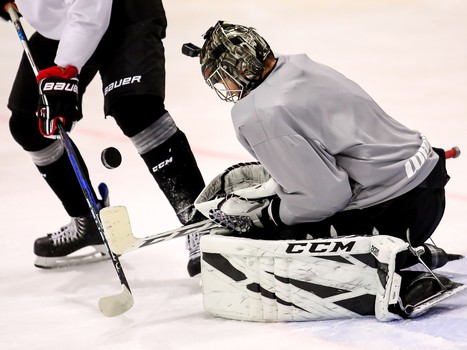 Новички «Авангарда». Александр Судницин