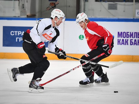 "Авангард" готовится к битве с амурскими "тиграми"