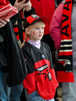 «Авангард» - «Металлург» 3:2. Вокруг матча