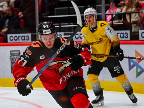 01.12.2024. «Авангард» - «Северсталь» 2:4