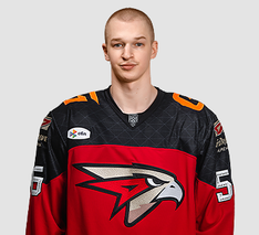 Чайка Даниил