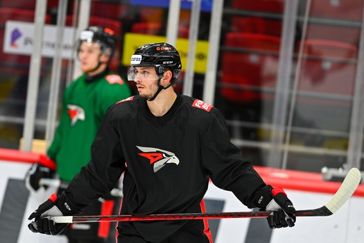 Раскатка «Авангарда» перед матчем с «Адмиралом»