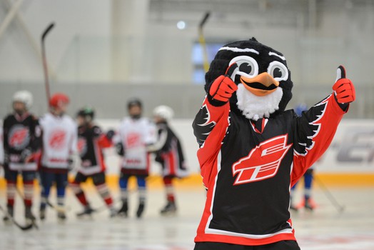 Открытие филиала Хоккейной академии "Авангард" в Тарко-Сале 04.12.13