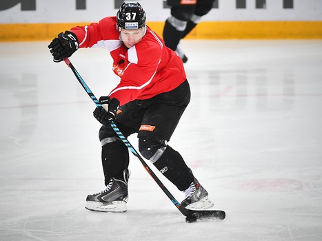 Раскатка "Авангарда" перед матчем с "Адмиралом"